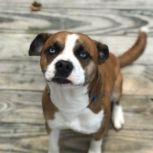 Meet your Posher, Lori